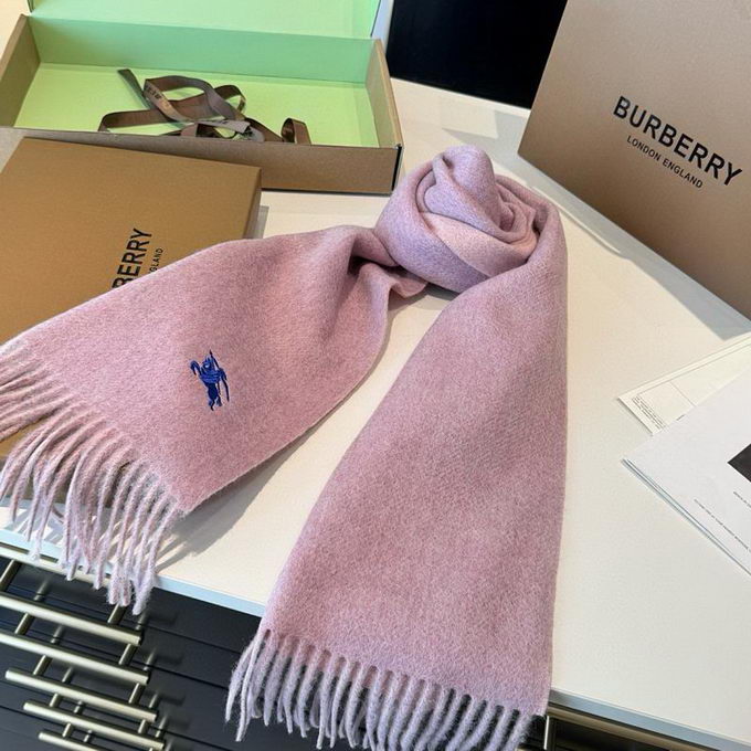 Burberry Scarf ID:20260120-78